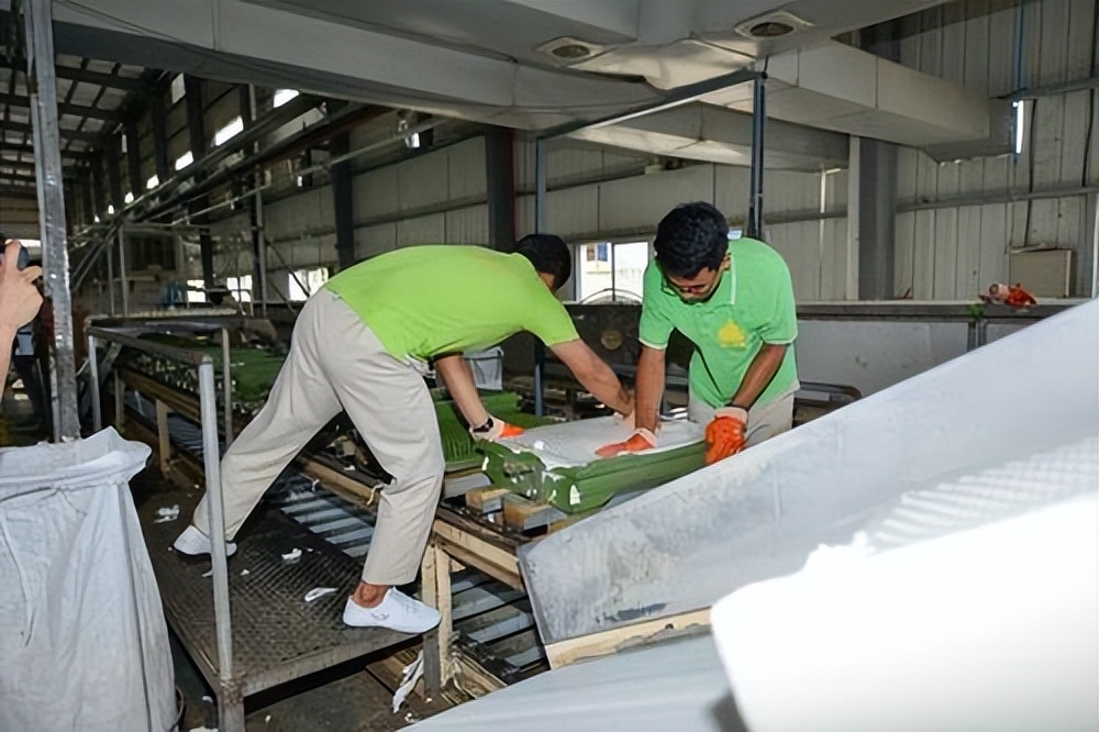 负离子乳胶枕是忽悠吗,那么火的乳胶枕真的对人体有益吗