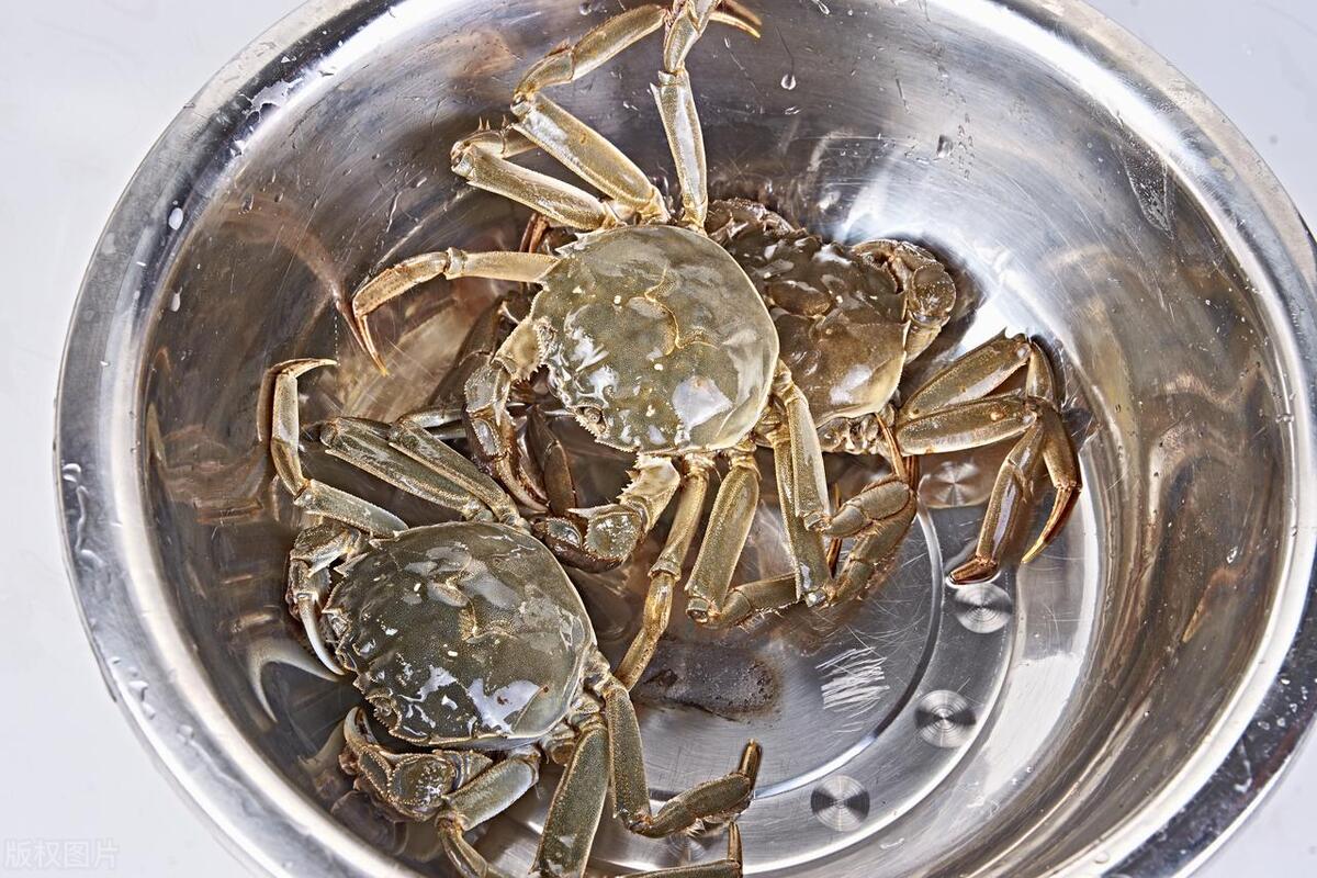 这十种螃蟹你吃过几种,比帝王蟹还要好吃的十种螃蟹