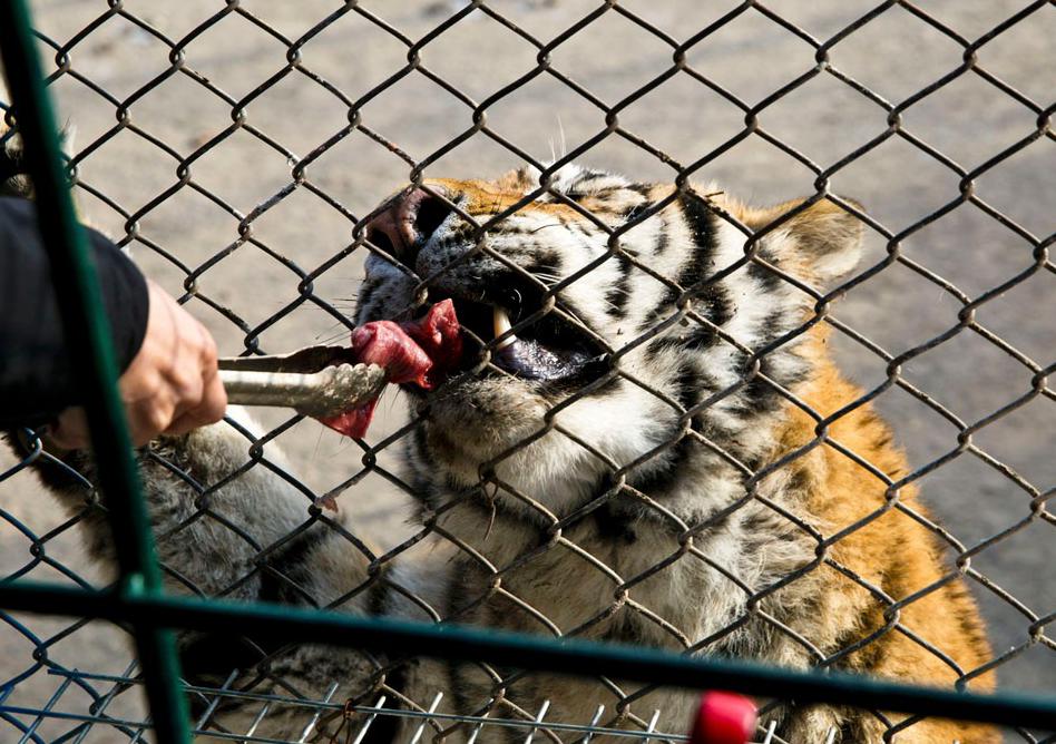 涓婃捣鍝釜鍖婚櫌鏈夊畨涔愭妗堜緥,涓婃捣鏈夊彲浠ュ畨涔愭鐨勫尰闄㈠悧