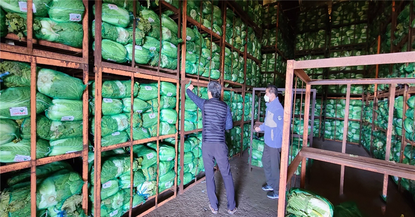 玉米芯能吃？韩国每年从我国低价进口大量玉米芯，干什么用？