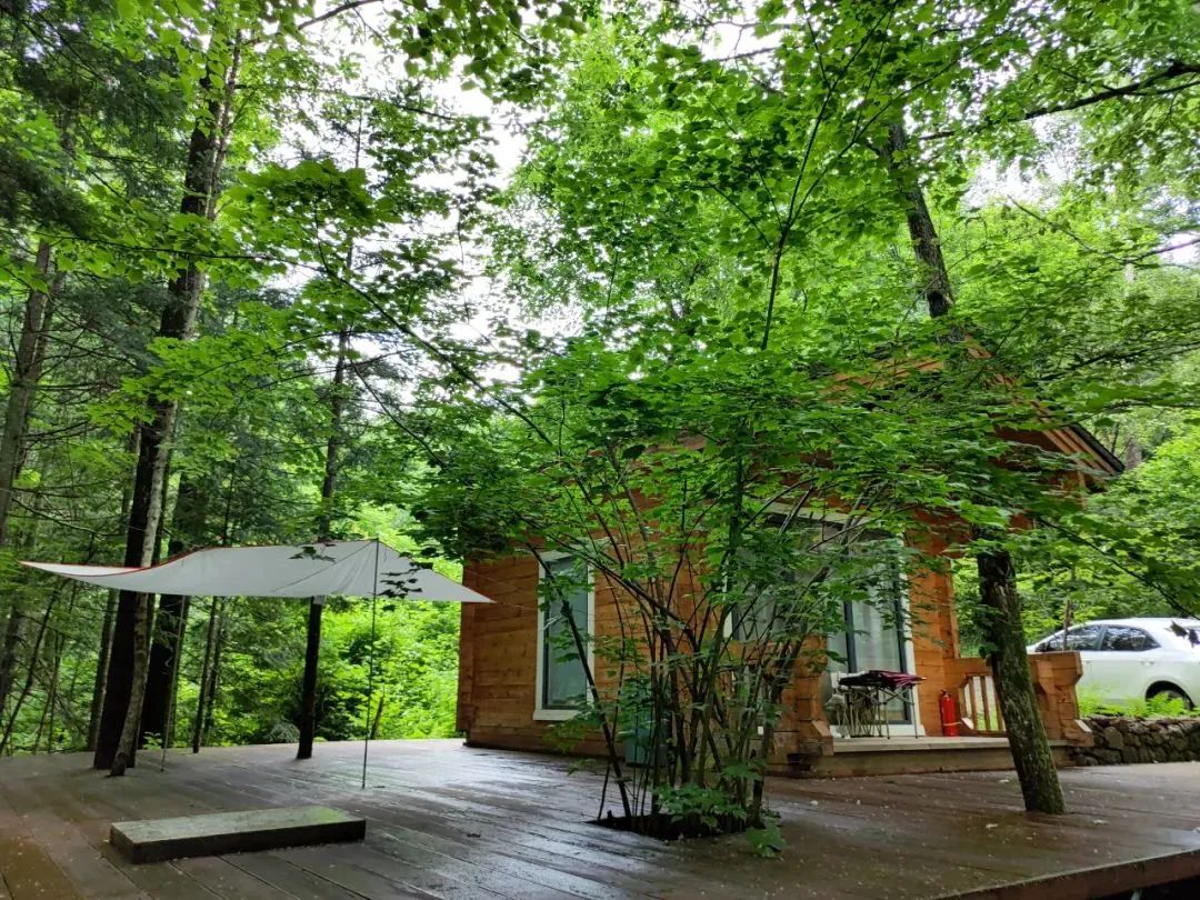 美好的夏天一切都在盛放,一切都从这个美好的夏天开始