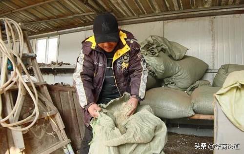 商丘市柘城的白菜挂在网上卖？还有更多致富门路呢