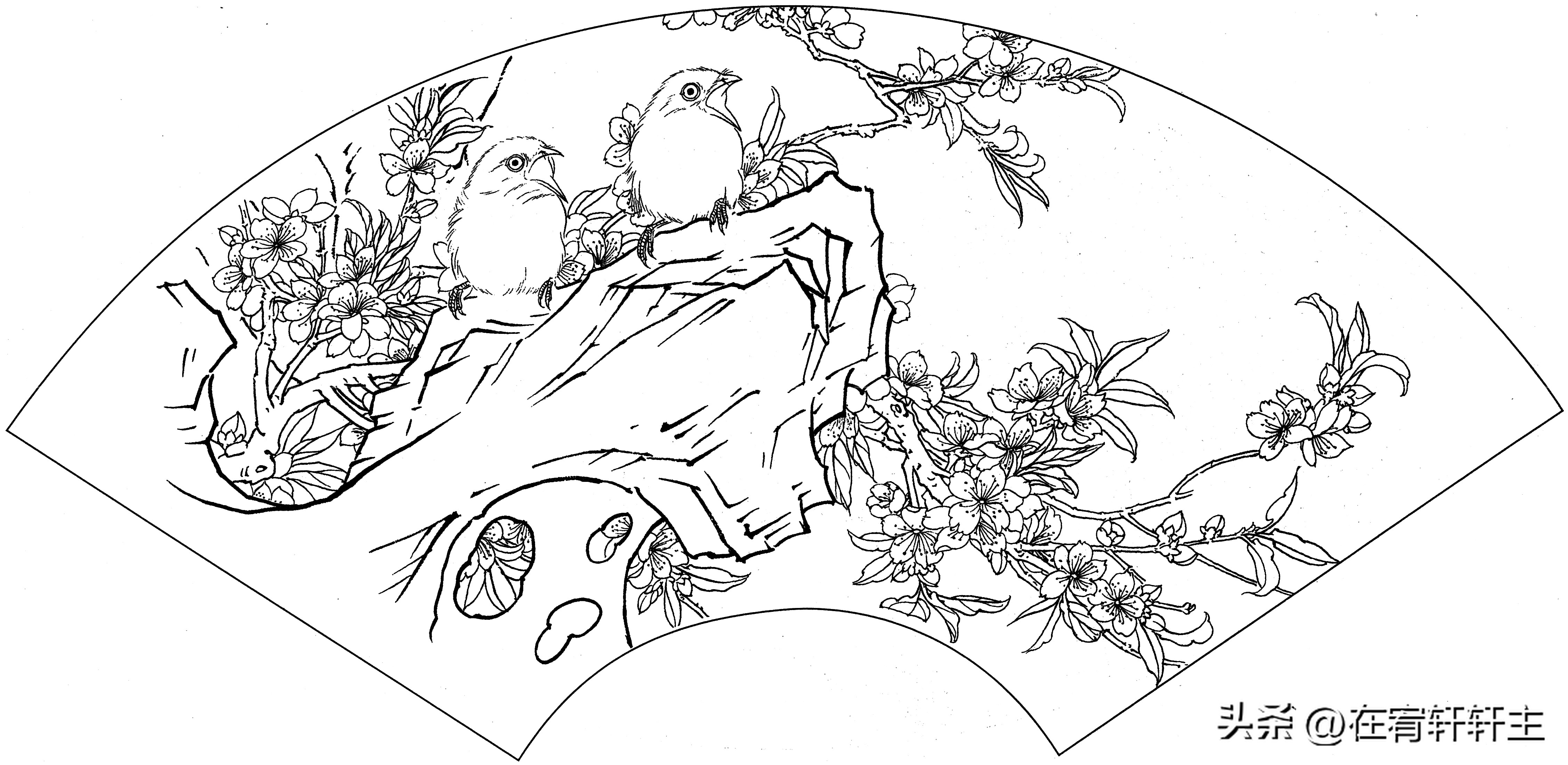 工笔白描祥云图案扇面,工笔扇面葡萄白描图片