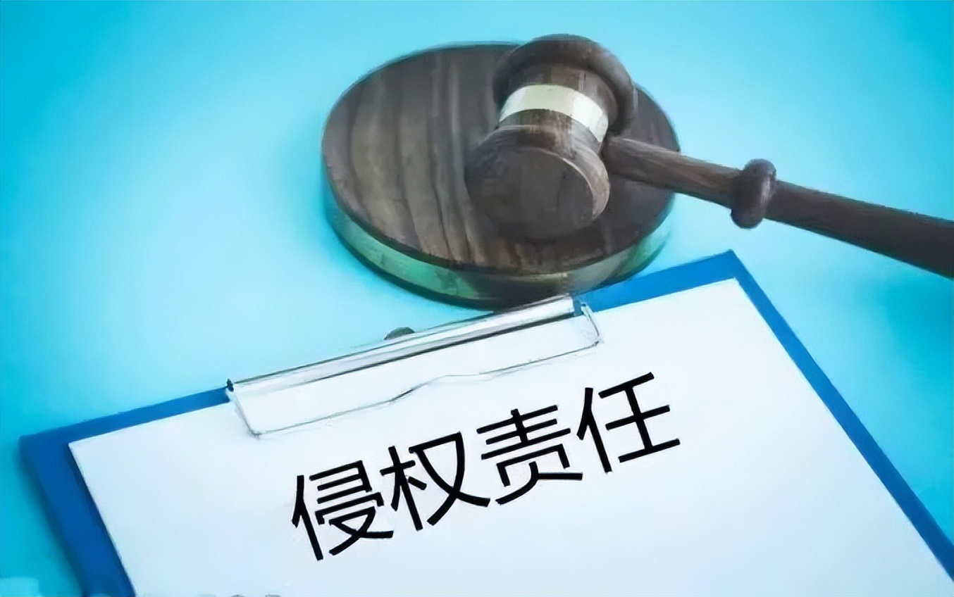 法律上的侵权责任纠纷是什么意思,法律规定侵权责任的意义