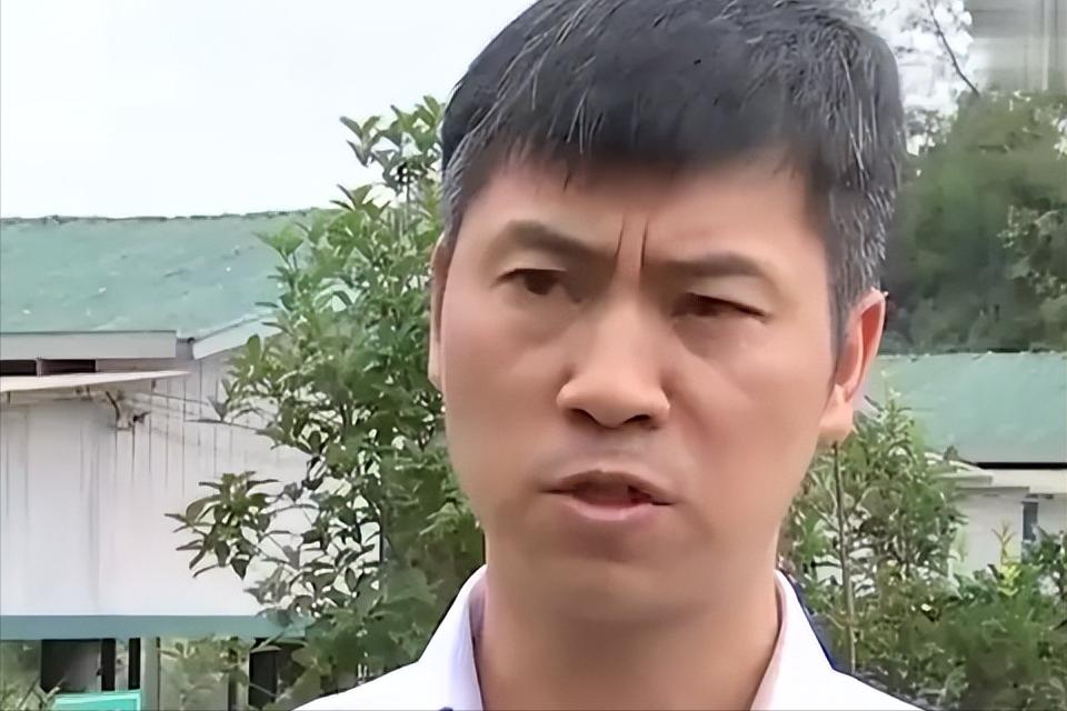 一只黄牛犊养一年能赚多少钱,养10头母黄牛一年赚多少钱