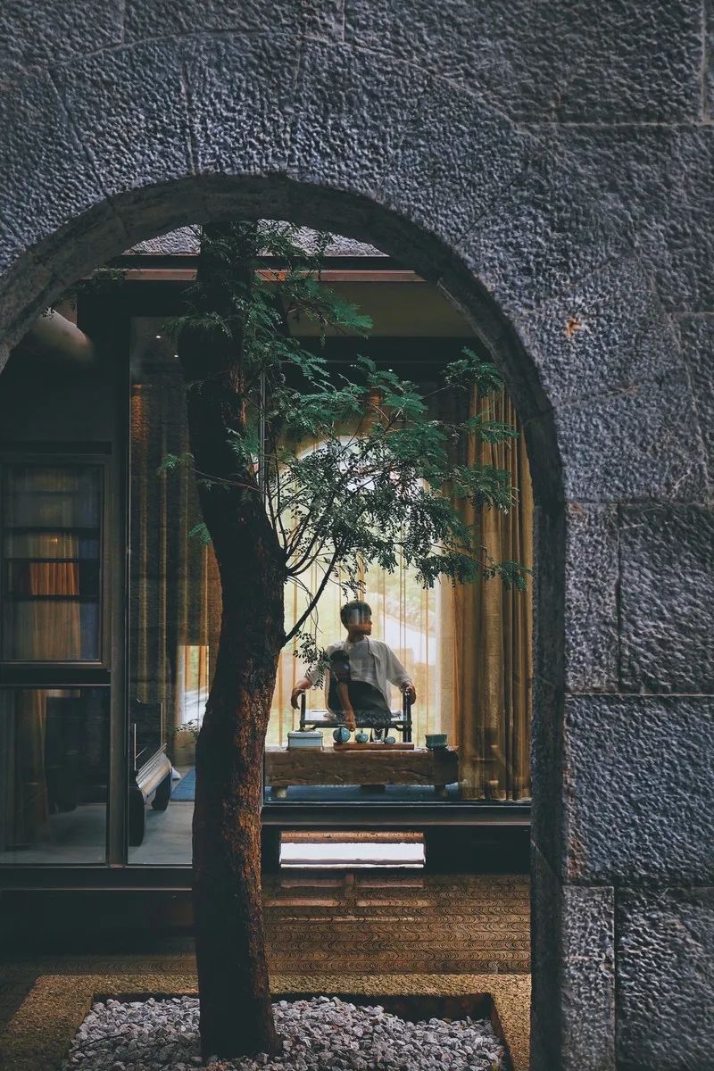 拜托!喝一杯价值8000多万的古树茶,住雪山博物馆酒店,超酷欸