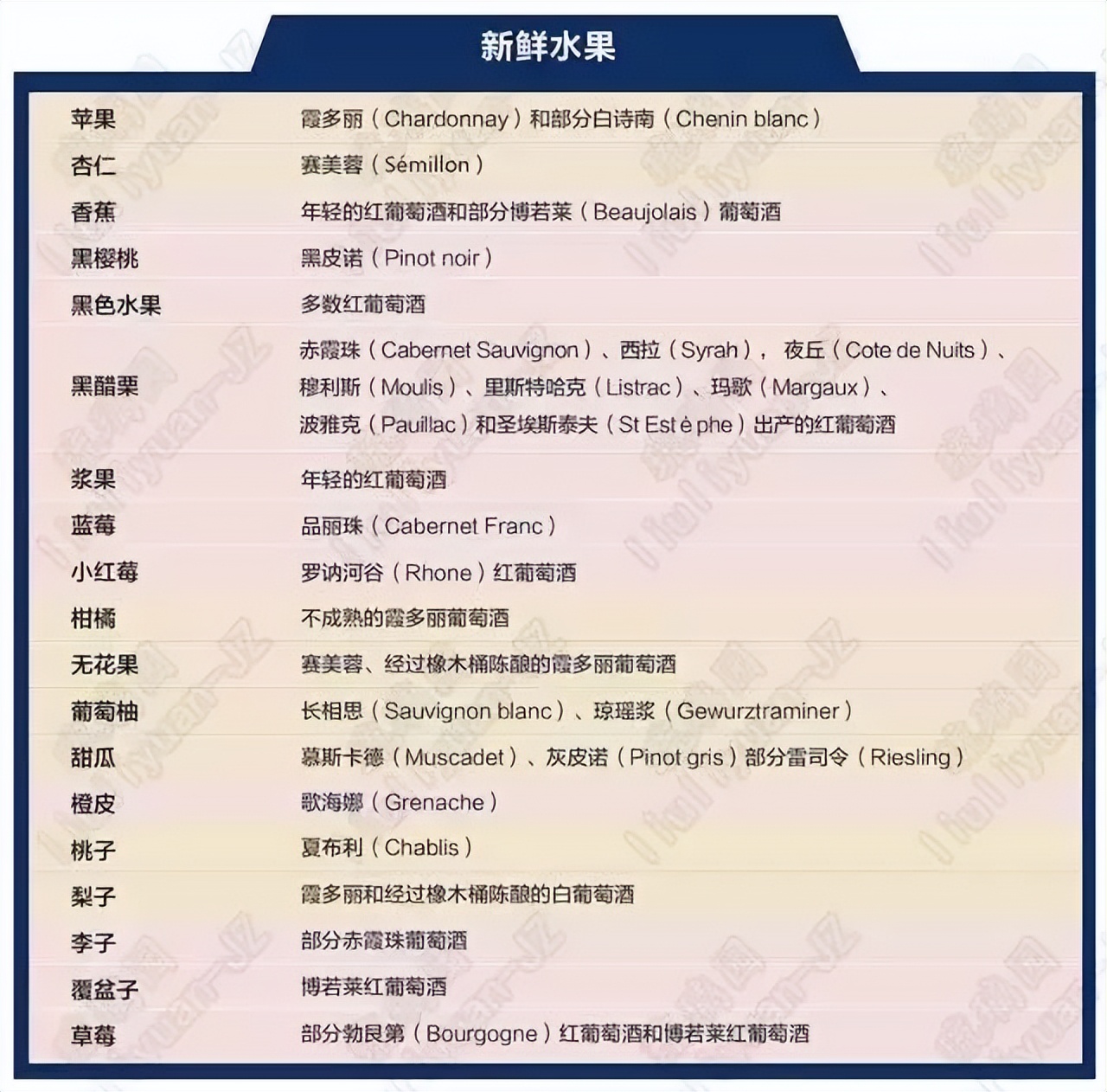 葡萄酒基础知识教程电子版,葡萄酒器具大全