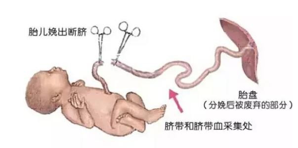 不小心把肚脐眼抠破了怎么办,把肚脐眼扣疼了会有什么后果