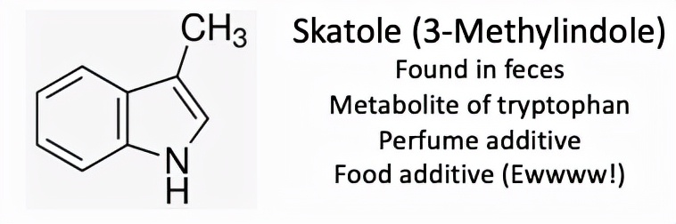 屁之所以有臭味是因为什么成分,屁臭的原因是因为有什么成分