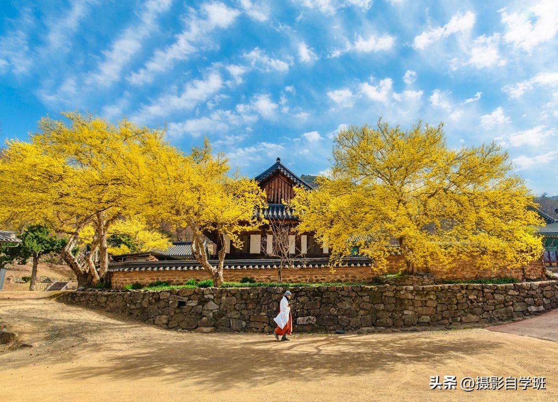用手机拍照风景技巧,用手机拍照有哪些摄影技巧