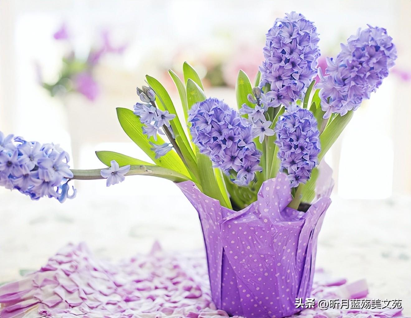 山水一程感恩相遇,山水一程三生有幸感恩相遇