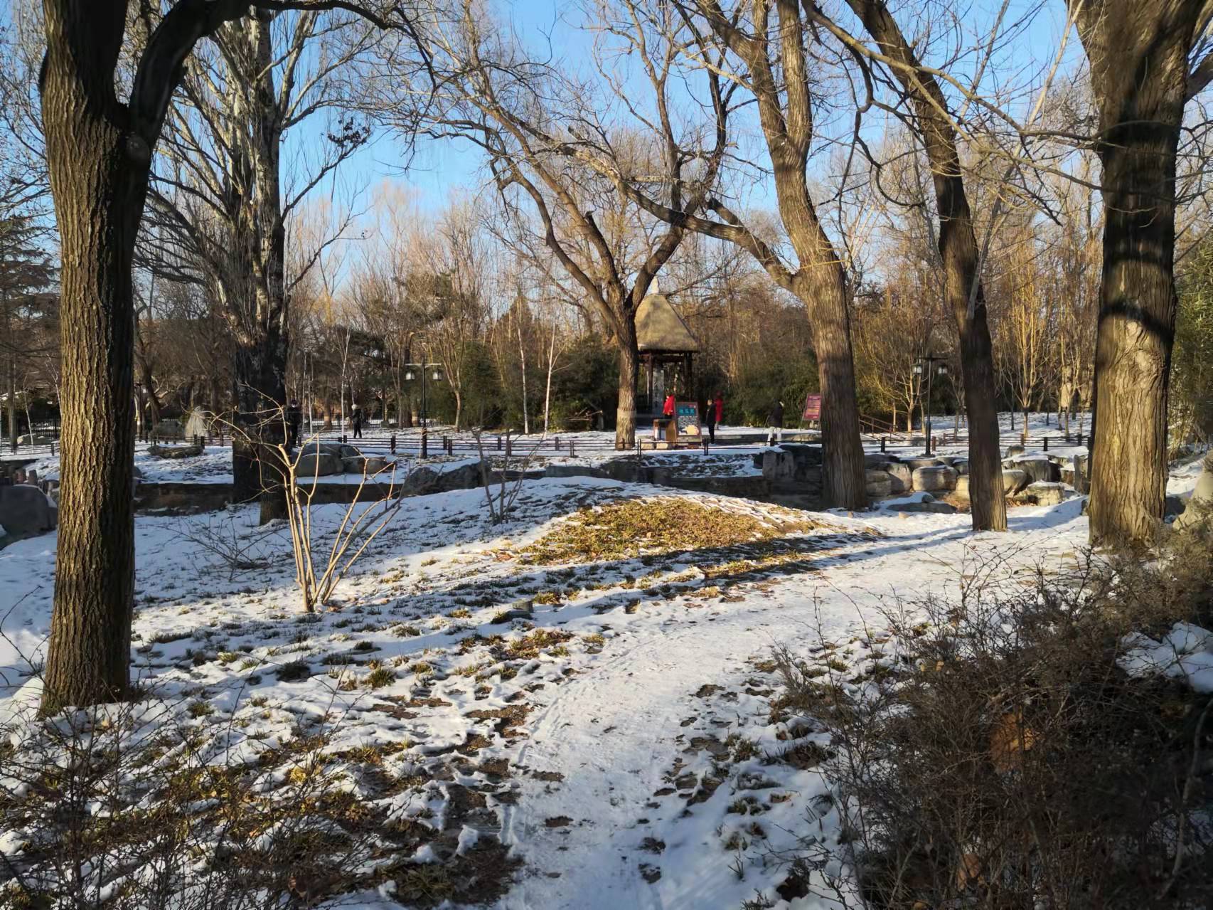 过年了天蓝蓝（诗歌十首）北京张新贵