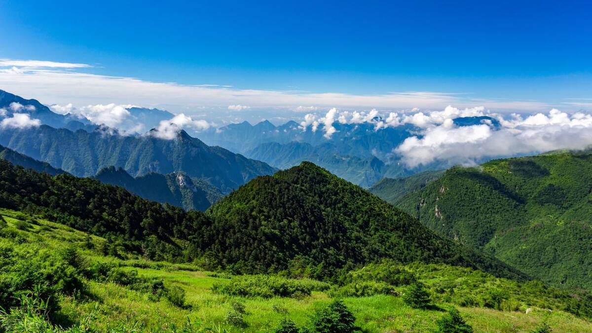 7月份去哪里最凉快最安全,中国7月8月最凉快的地方