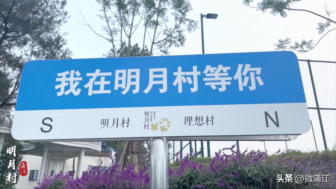 四川省蒲江县最美生态乡村,蒲江网球场