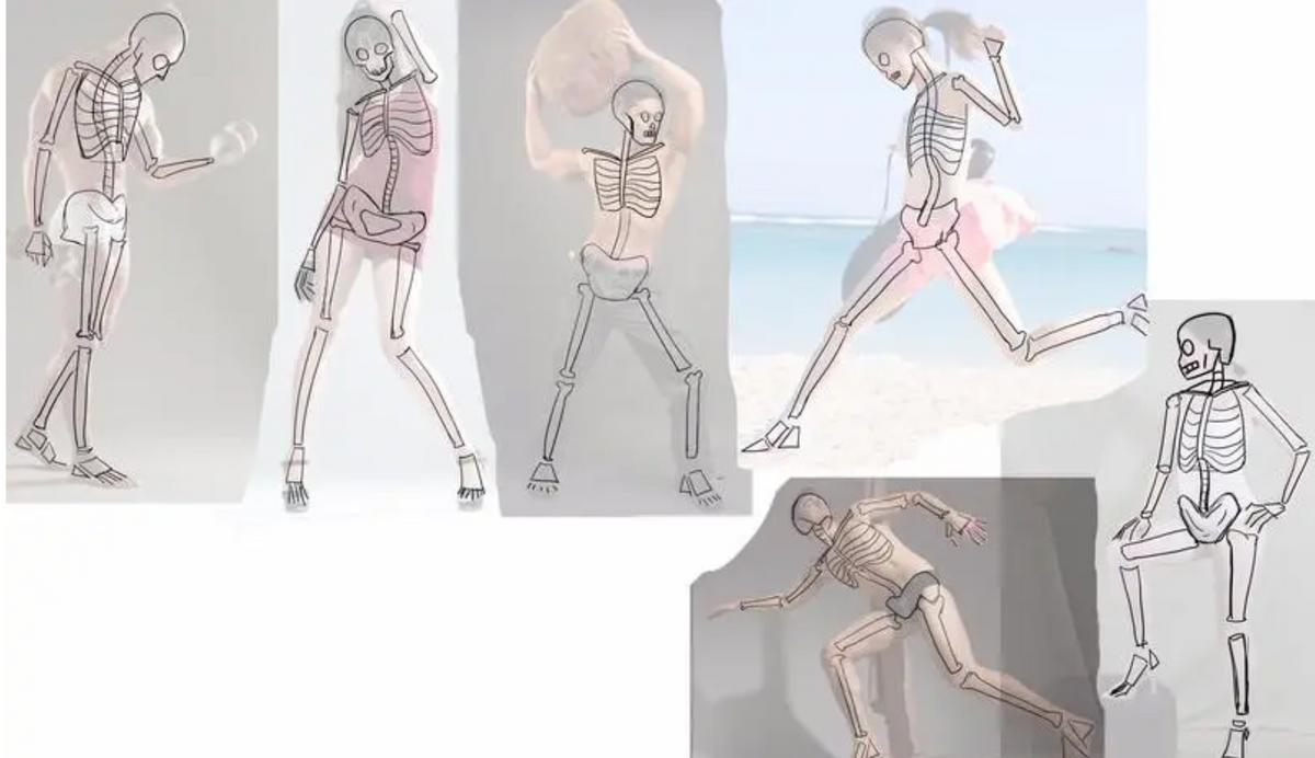 什么是“阴茎骨”？百万年前人类曾拥有！现在算进化还是退化了？