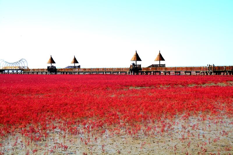 辽宁盘锦在哪个地方,去盘锦旅游哪里好