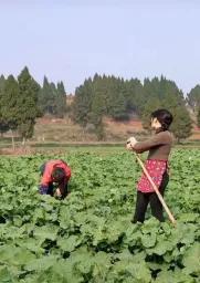 千年古城大美江西,千年古城美景