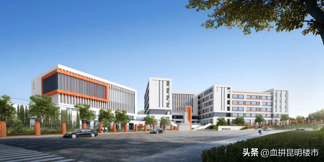 从小学到初中再到高中毕业,从小学到初中高中大学一路走来