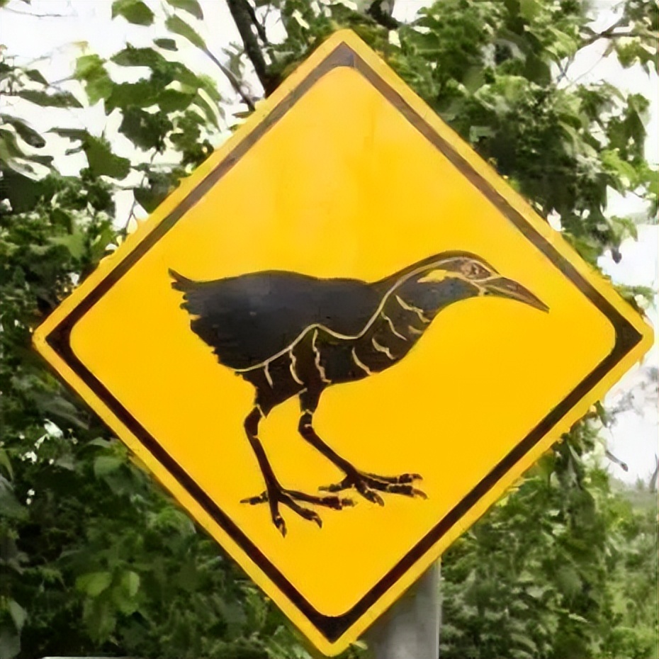 怪兽出没请避让,怪兽出没小心避让