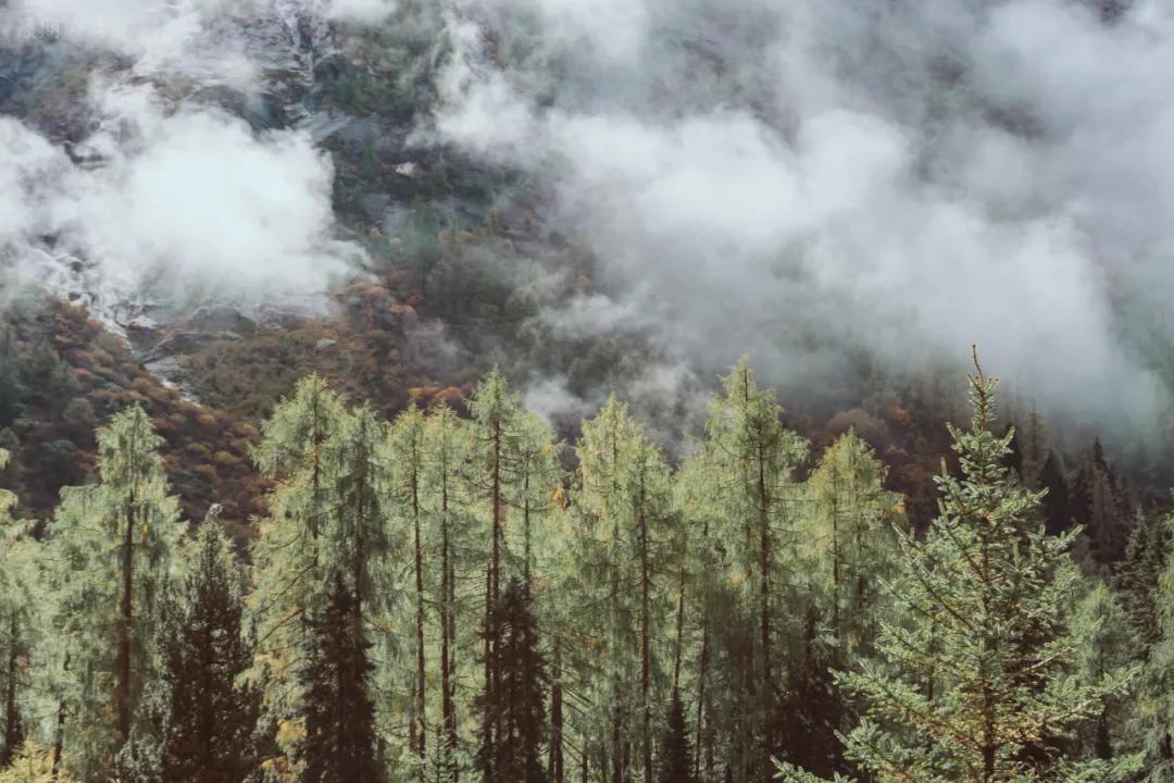 西北十大旅行攻略,西藏自驾游一日游攻略