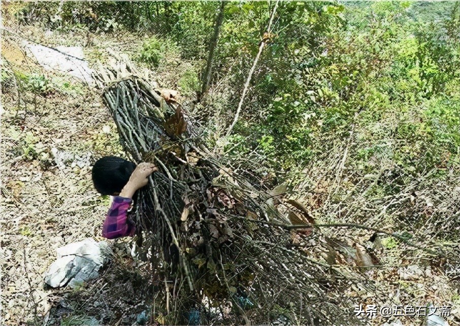 割柴总是这样，饱的时候赶路，饿的时候也得负重前行