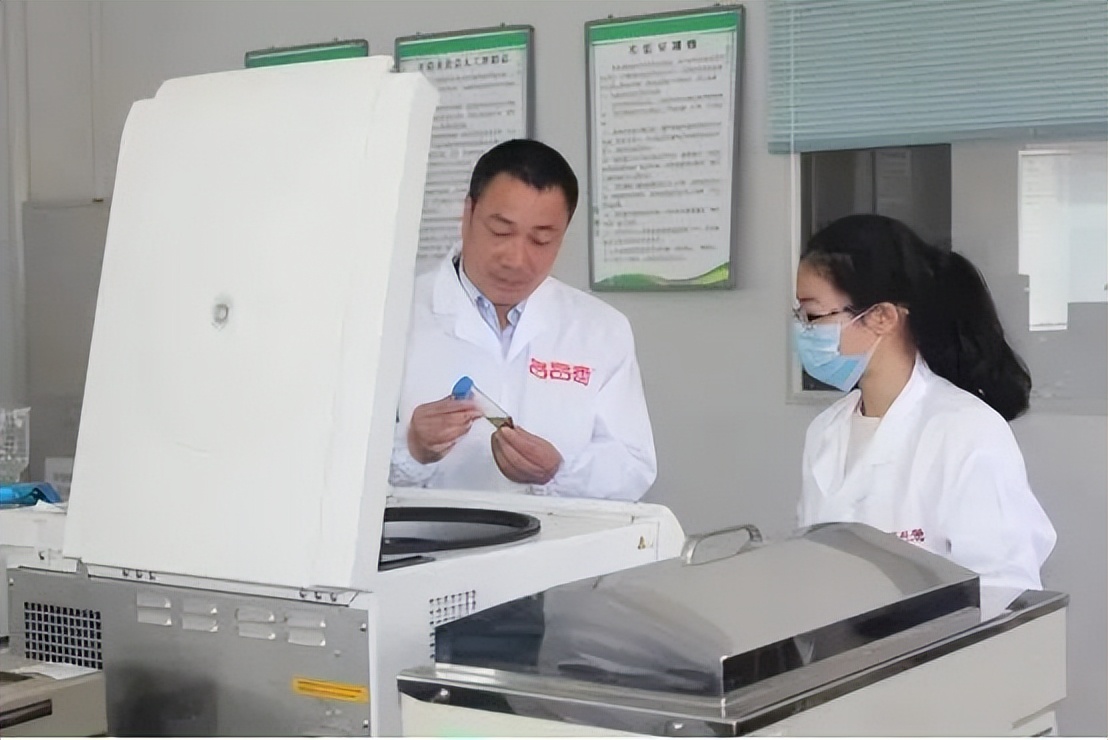 白茶书籍林振传,林振传白茶传承人