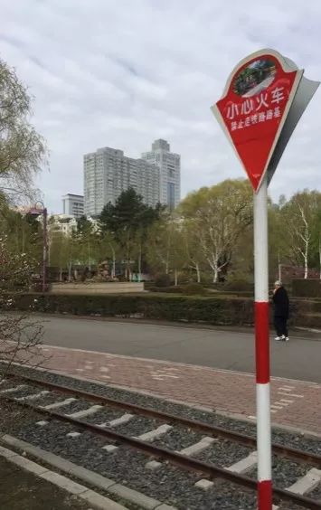 六一小火车,六一陪伴孩子和家人的美好时光