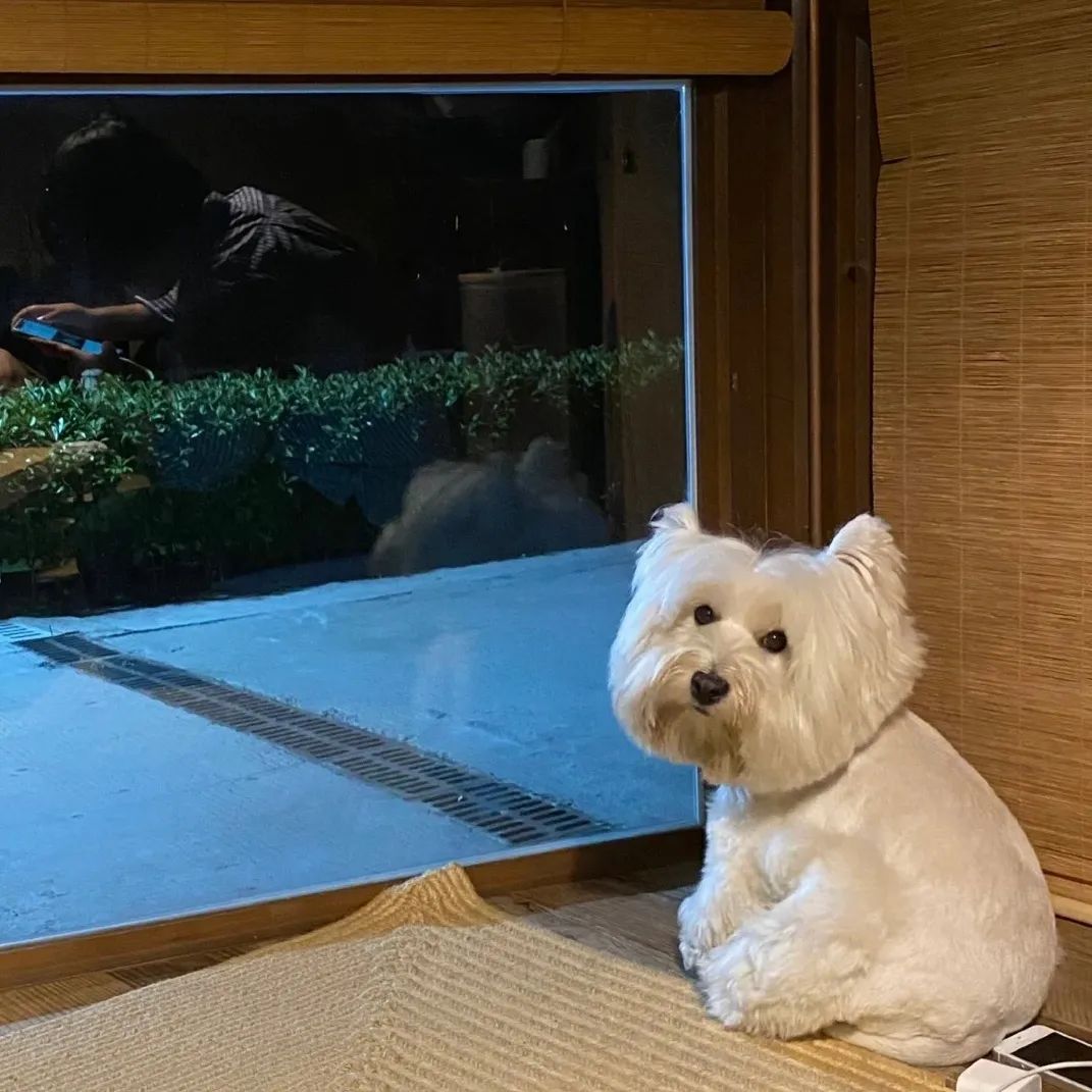 头像好看系列,头像好看的图案