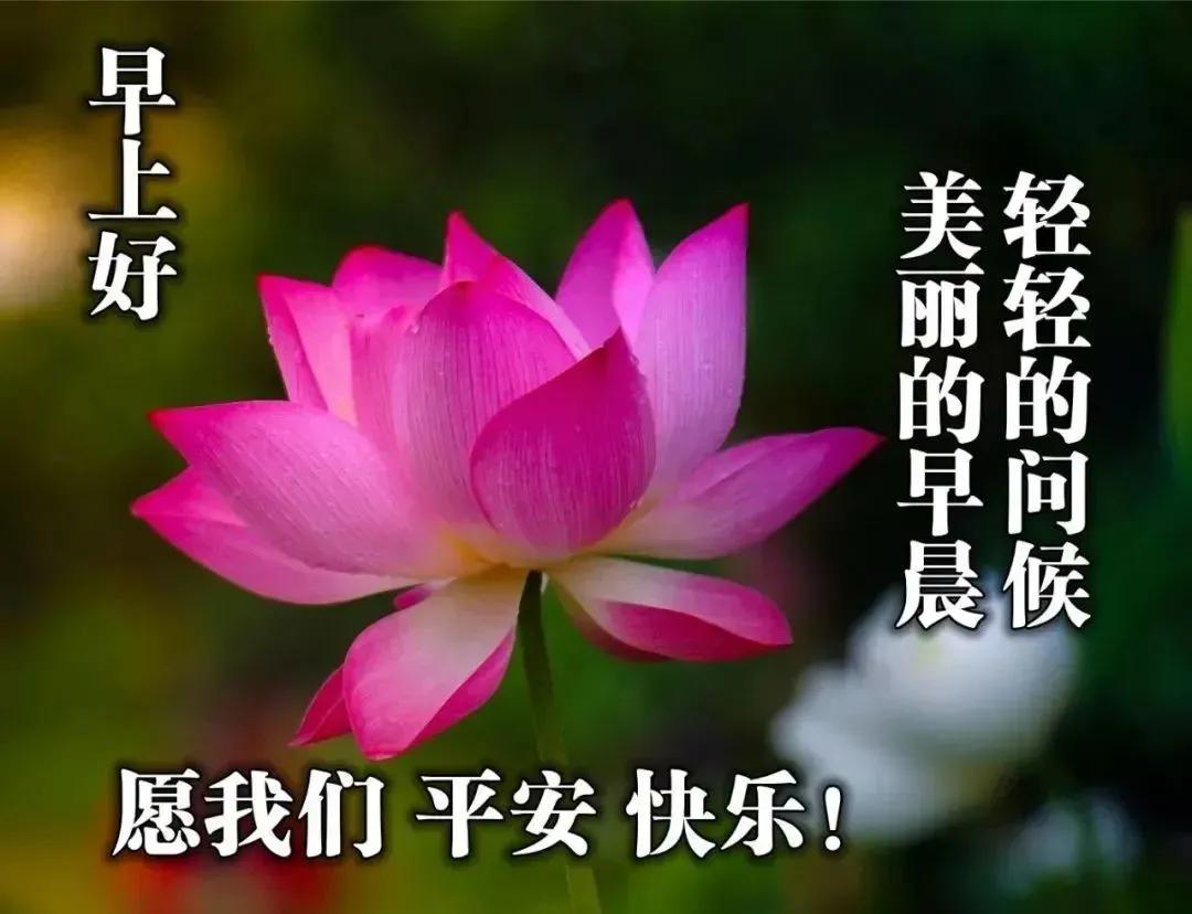 周末早安最漂亮问候图片带字,周三早安正能量图片带字