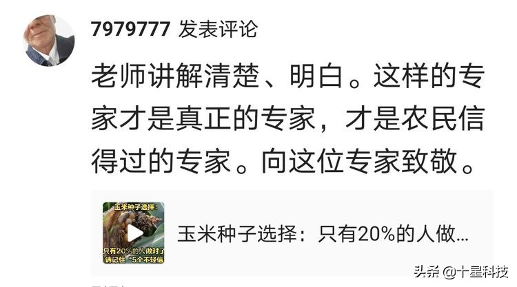 玉米混播高产吗,玉米混播有哪些品种