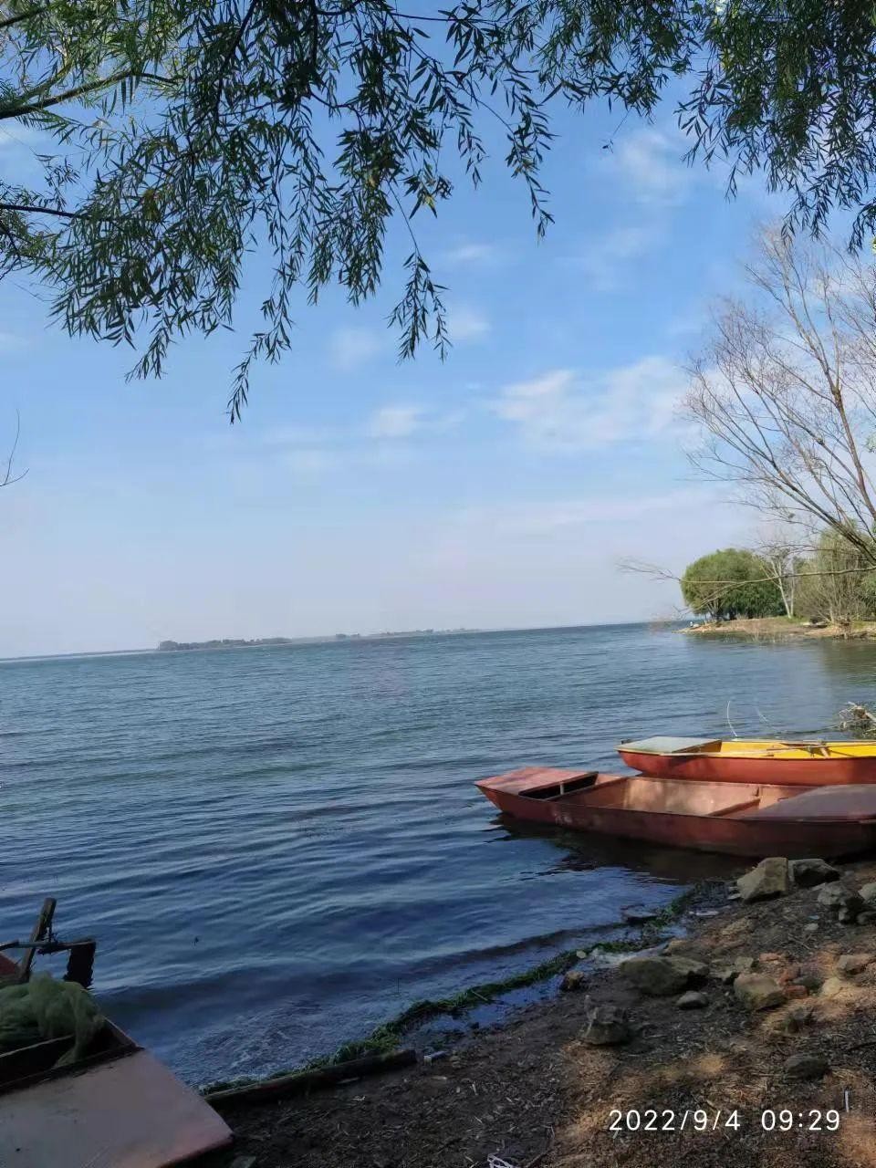 河南女孩出租屋躺8年现状,河南女孩在出租屋躺8年