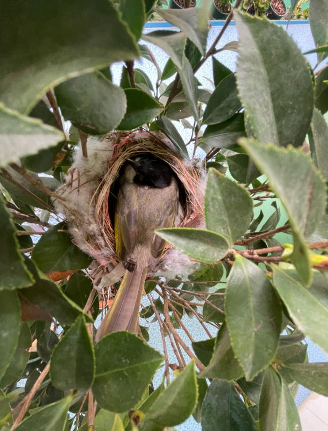 桂林最好的幼儿园,桂林的幼儿园