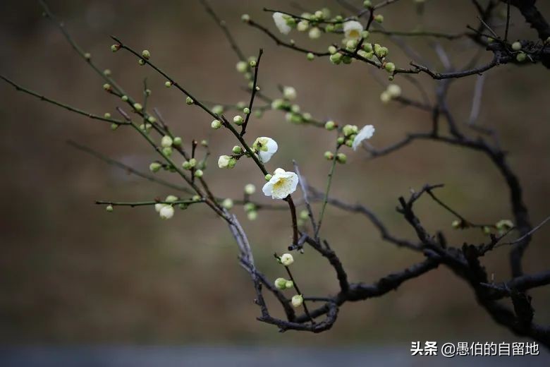 老爸即将再婚,父亲再婚我该如何面对