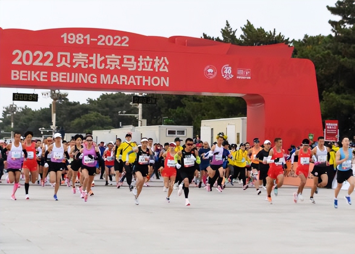 凝心聚力鼓干劲提振信心再出发,体育节赛事回眸