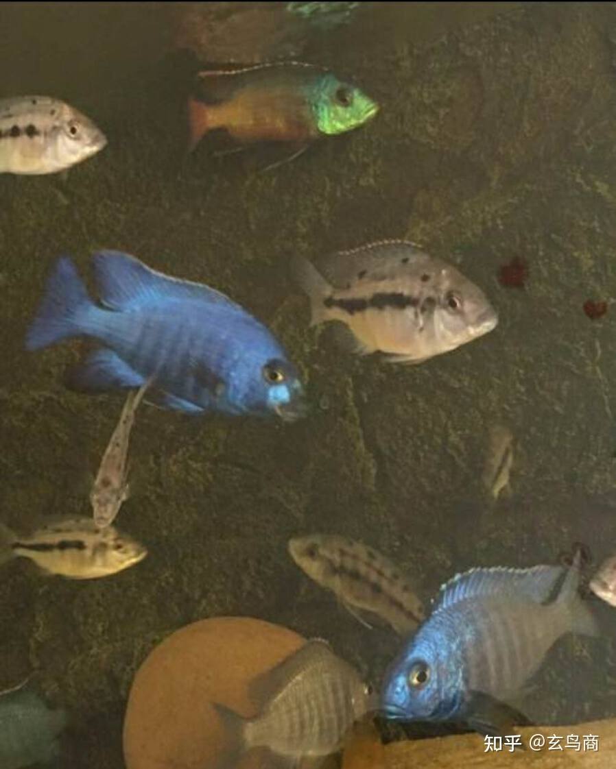 毛公鼎铭文名词解释,毛公鼎的铭文赏析