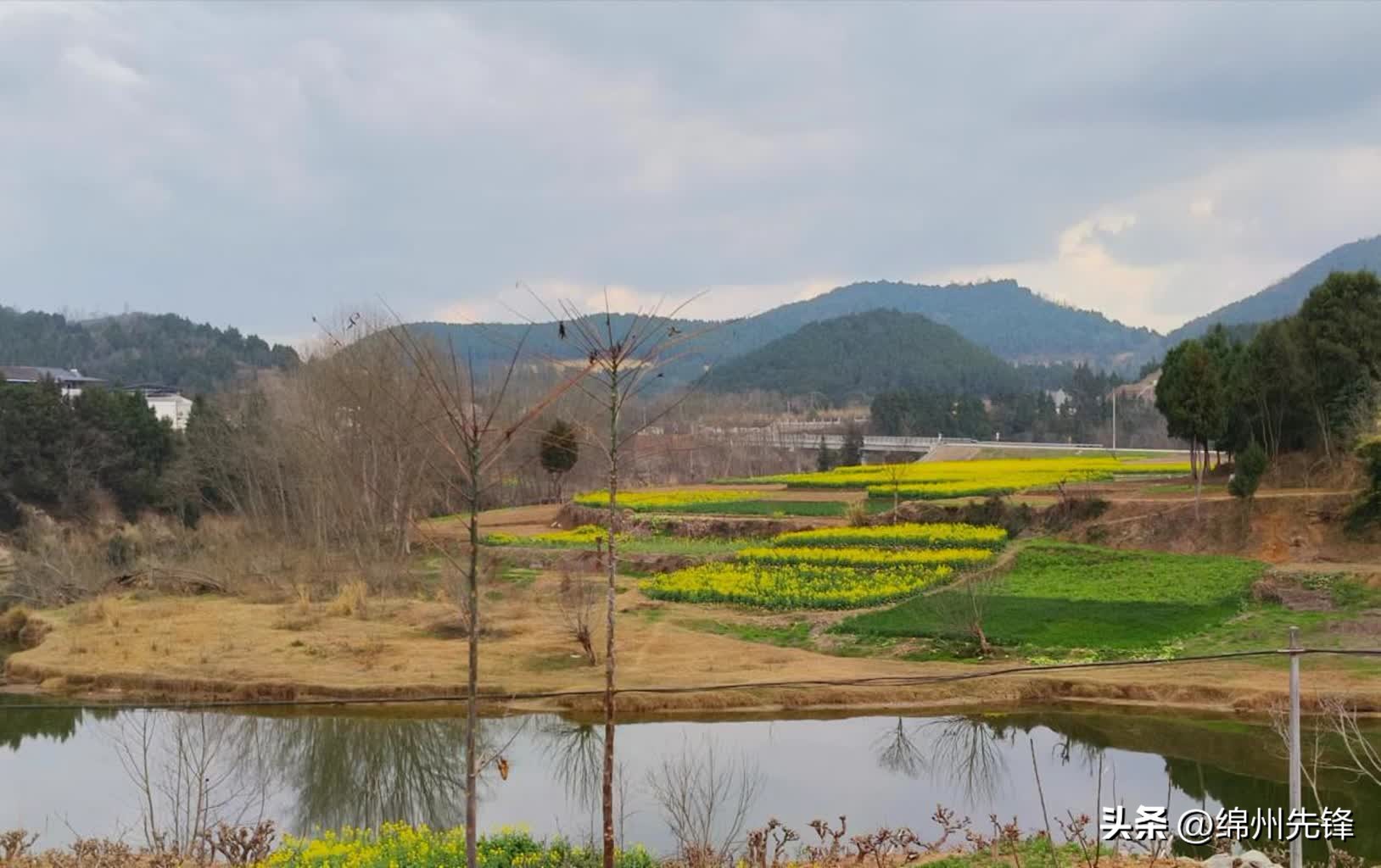 绵阳特色乡村振兴之路,绵阳乡村振兴示范区