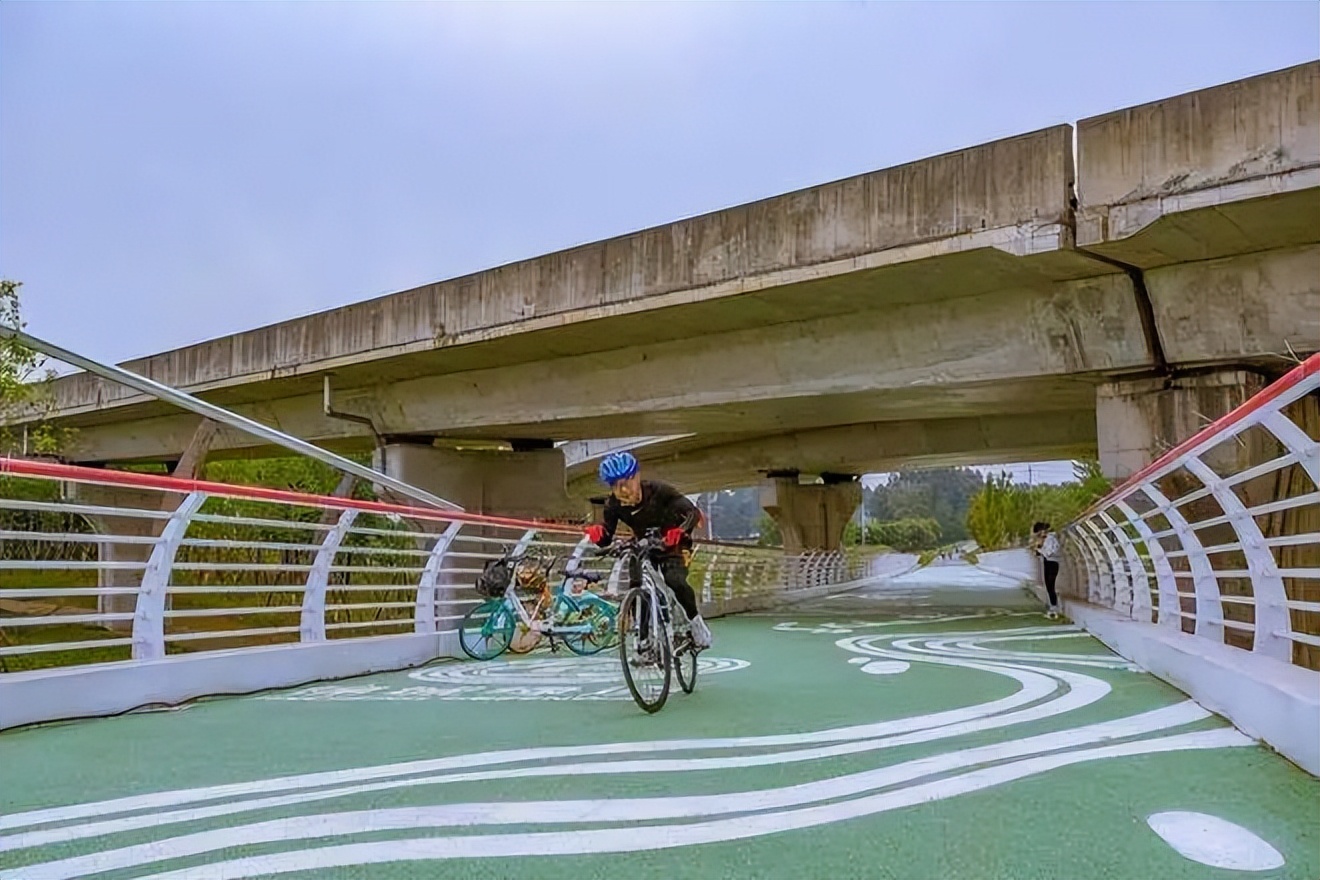 自行车圈鄙视链高端车,自行车品牌鄙视链是什么