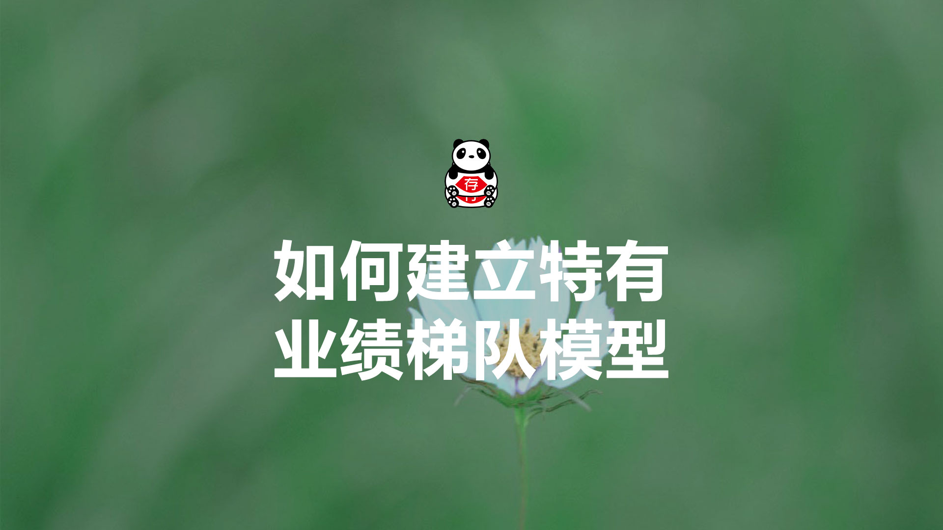 如何构建业绩管理系统,企业绩效分析怎么做模型