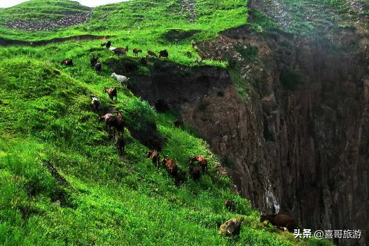 四川宜宾高县有哪些旅游景点名称,四川宜宾高县有哪些旅游景点免费