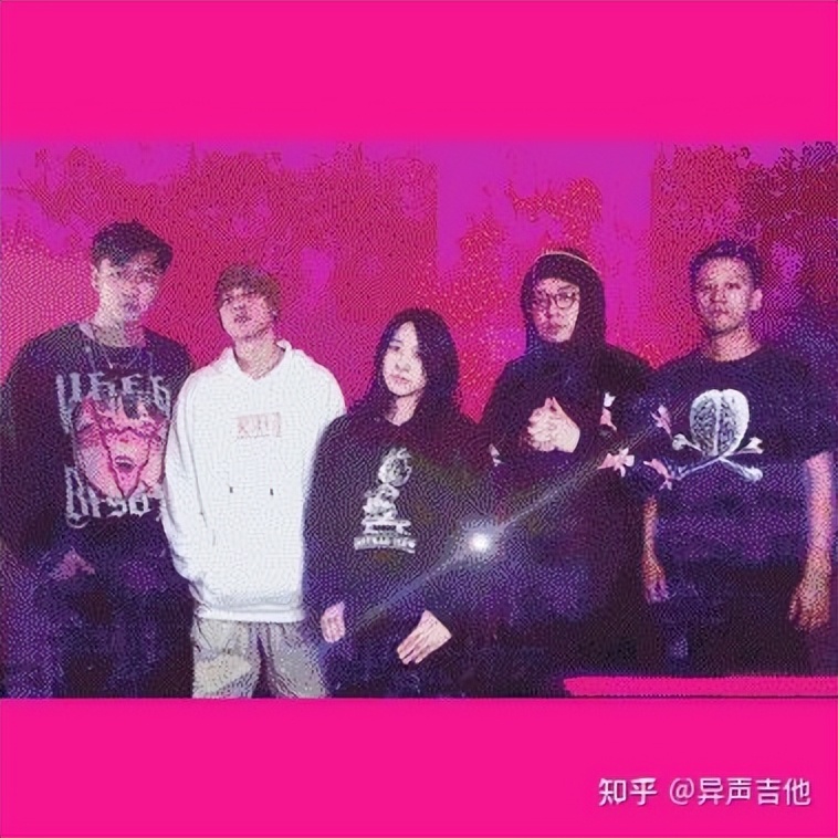 斑鸠的五种常见叫声,疫情下我学会了什么技能