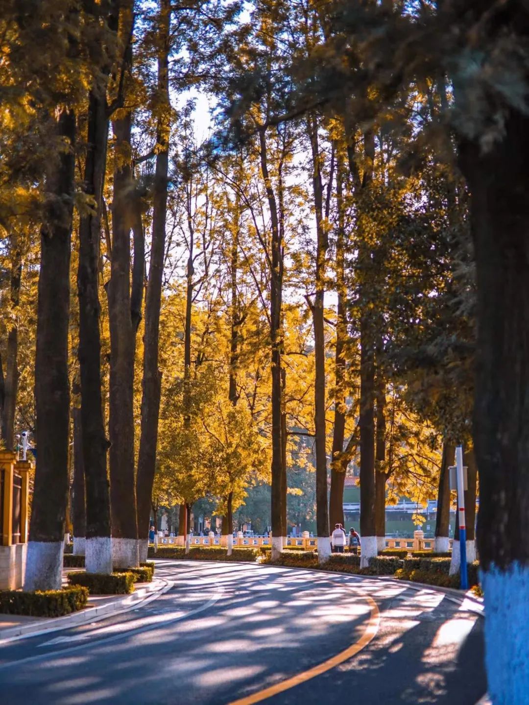 TDD.L案例｜昆明翠湖亚朵酒店：随遇而安，心之所向