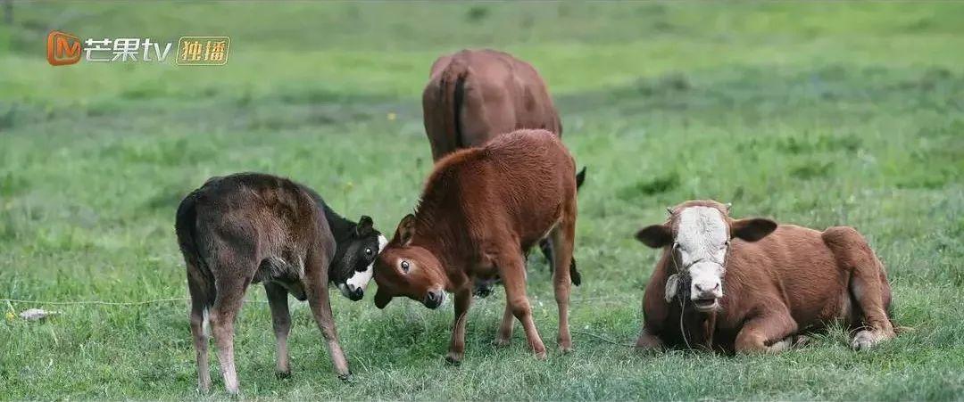 国产科幻电影三体,国产剧三体评分