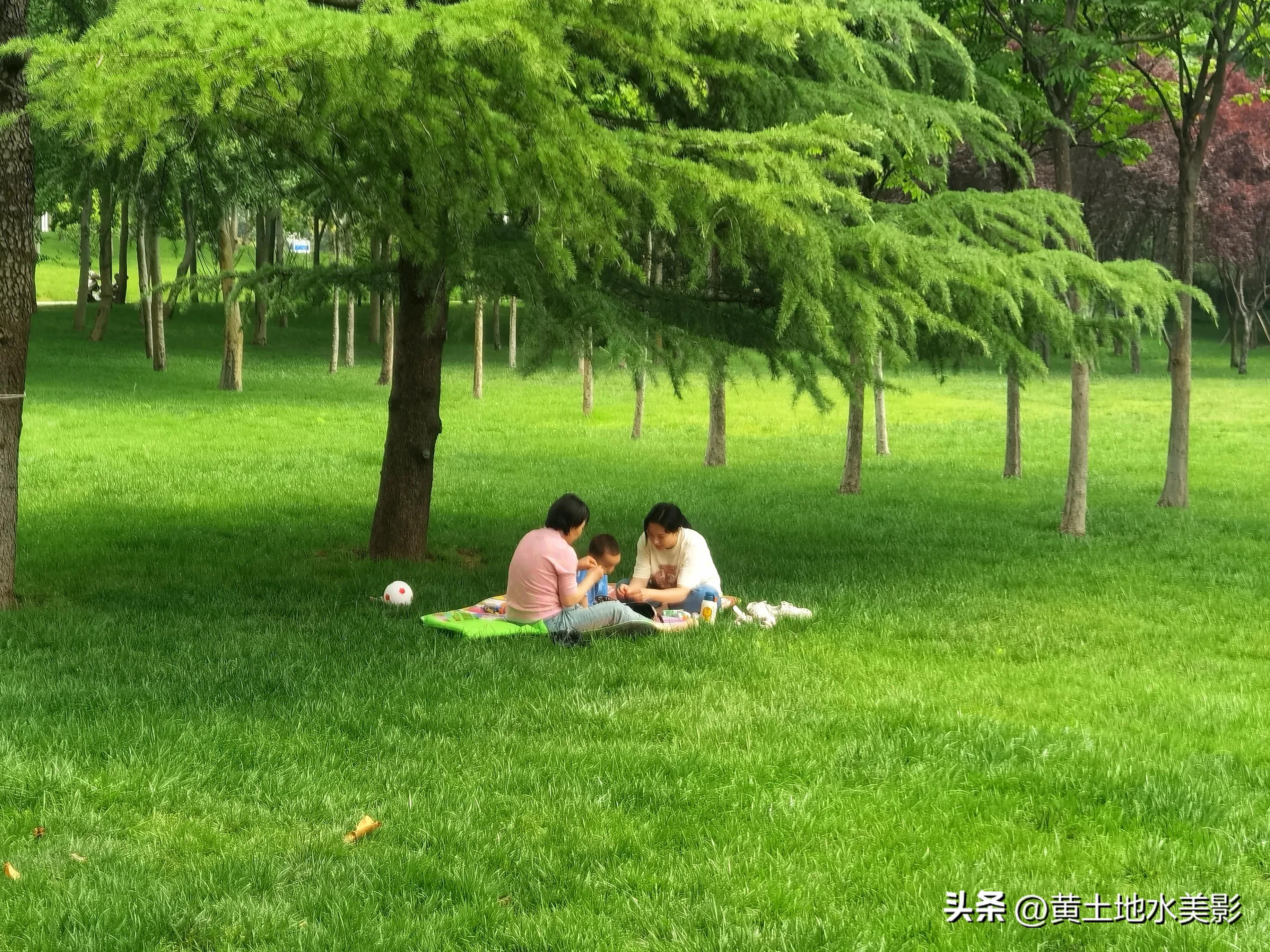 郑州儿童节周边游,郑州室外适宜小朋友游玩的景点