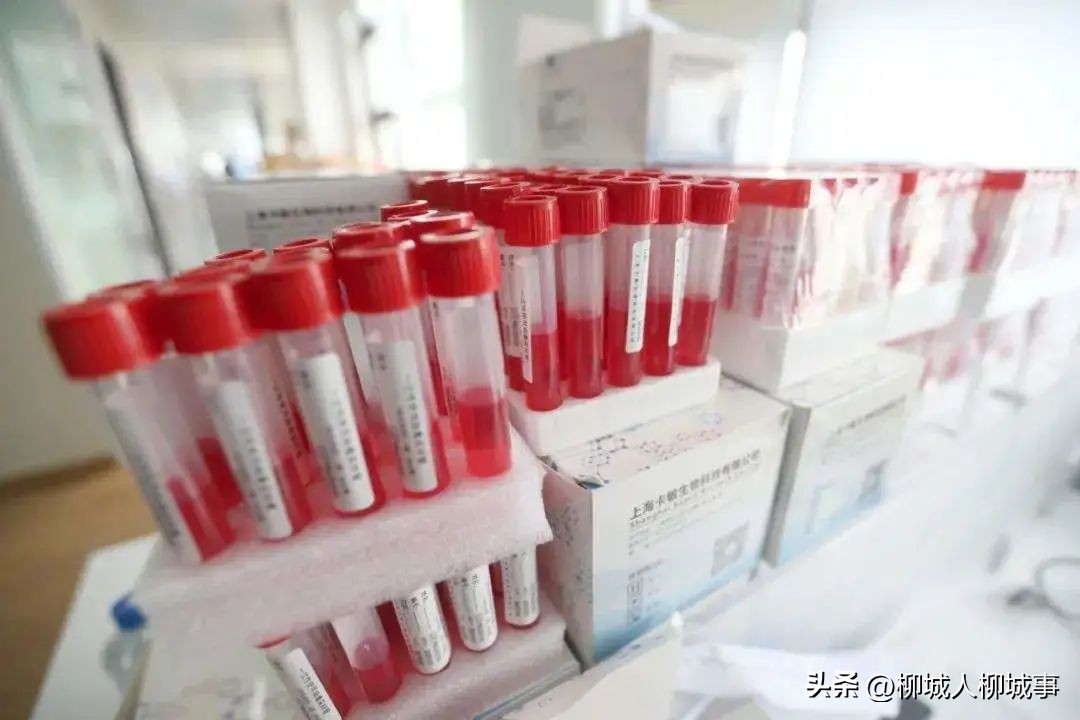 48小时核酸和24小时核酸怎么区分,核酸里面的液体为什么是红色的
