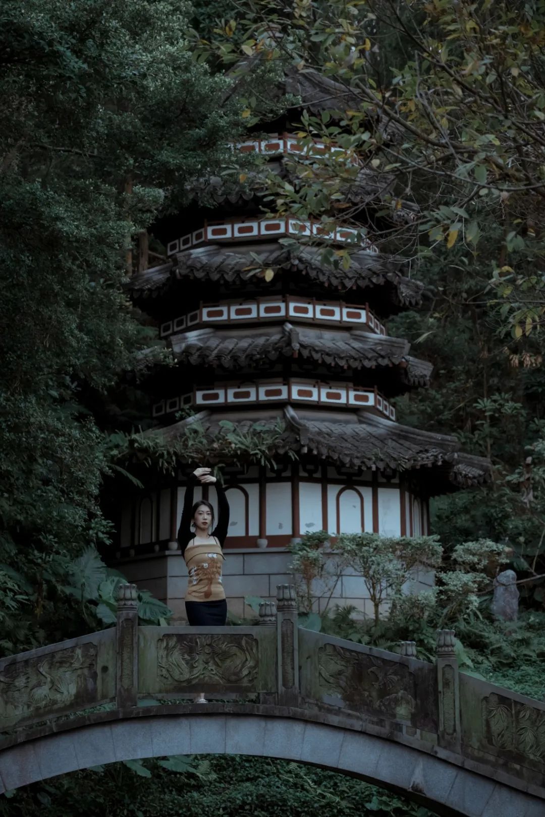 尼康z7ii搭配z24-70f2.8可以拍什么,尼康z14-24mmf2.8s夜景视频