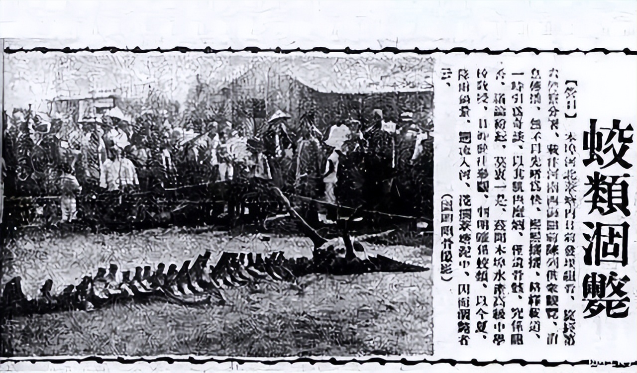 112岁老人头上长犄角,107岁老人头上有个长犄角