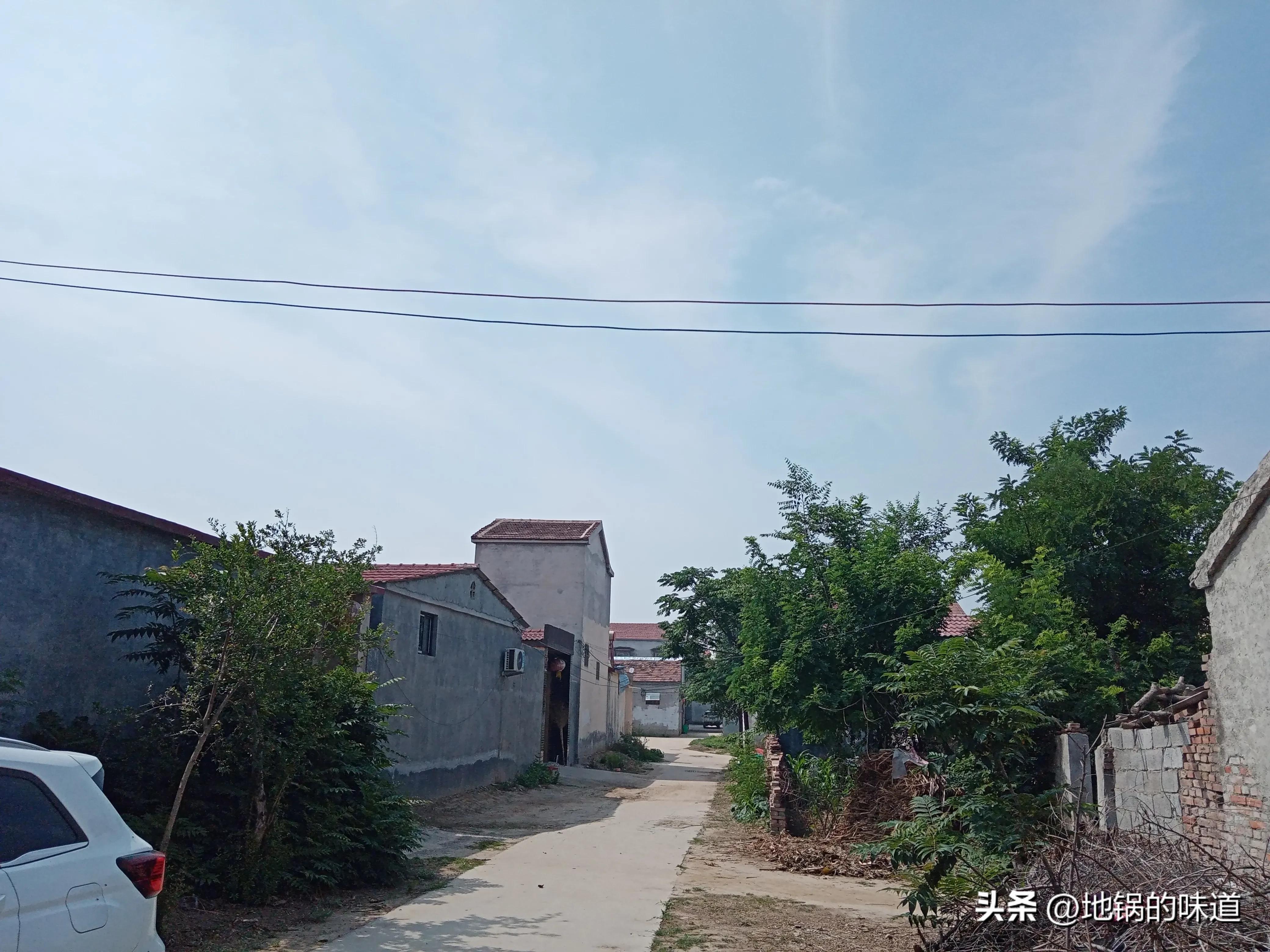 端午节哪天家门挂艾草最好,为啥要在端午节往家里挂艾草