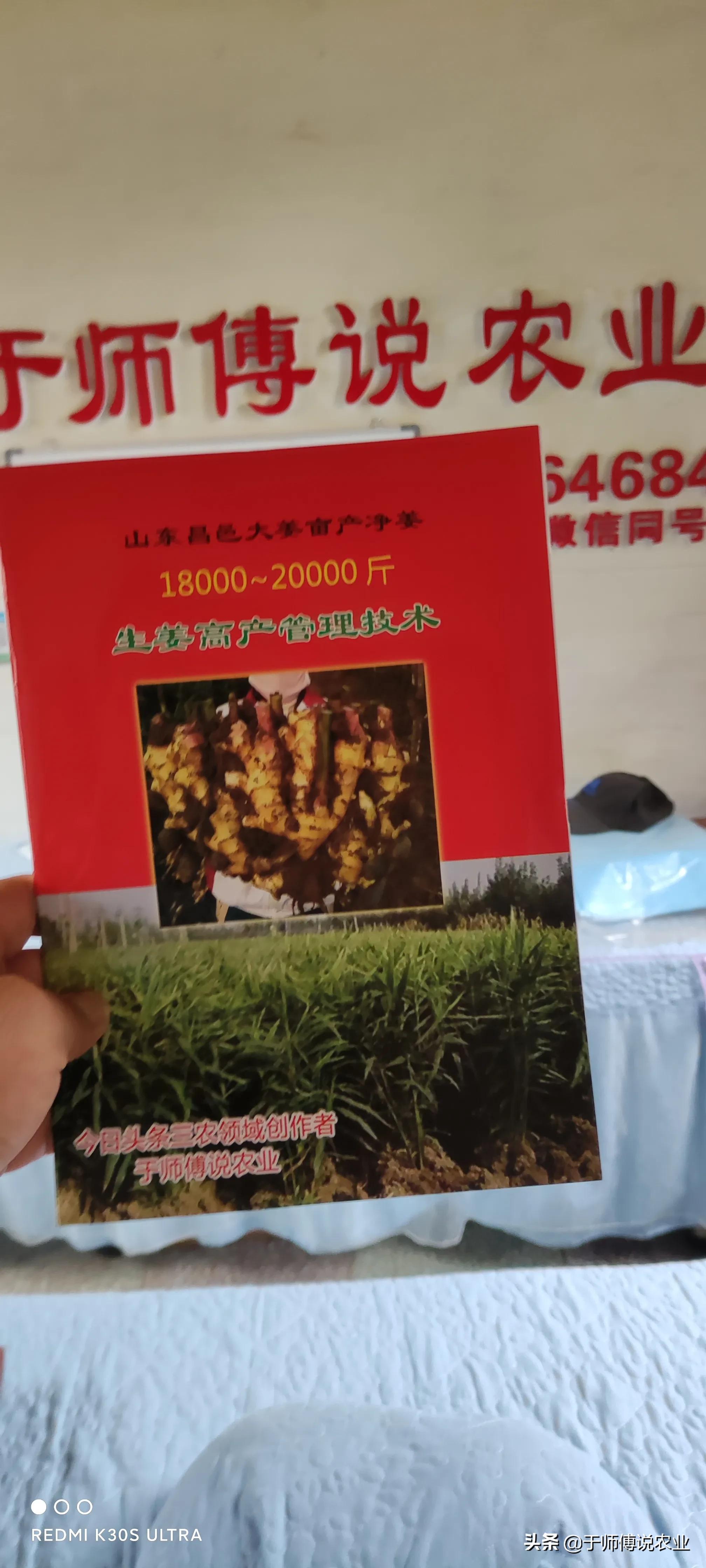 种姜一亩地成本和利润,种植一亩大姜一年能挣多少钱