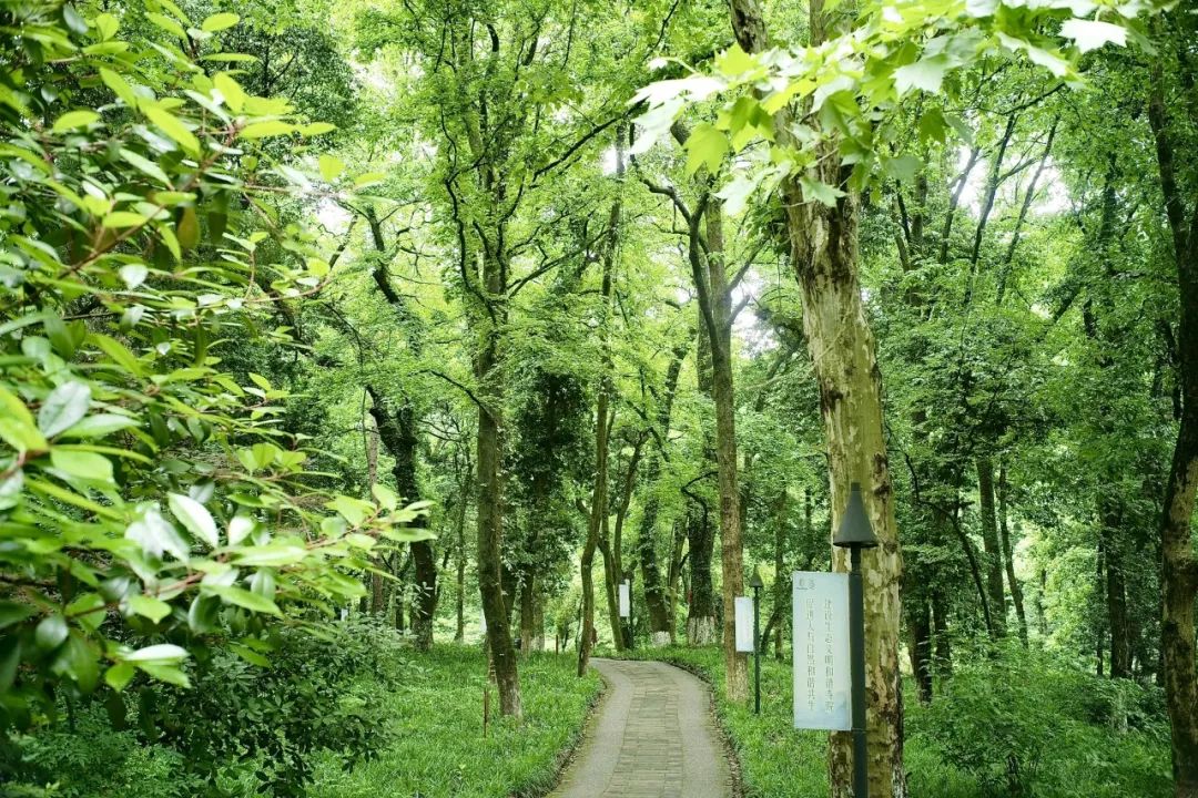 浙江市区度假酒店推荐,浙江轻奢酒店值得推荐