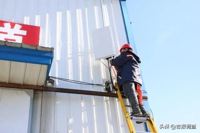 长白山万良镇人参市场黑参价格,抚松县万良镇人参批发多少钱一斤